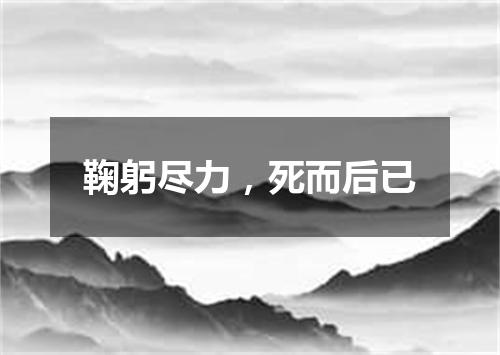 鞠躬尽力，死而后已