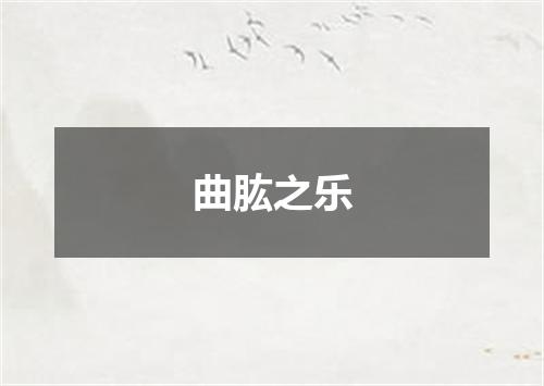 曲肱之乐