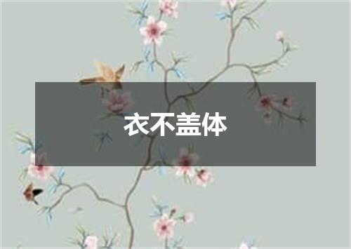 衣不盖体