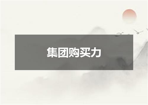 集团购买力