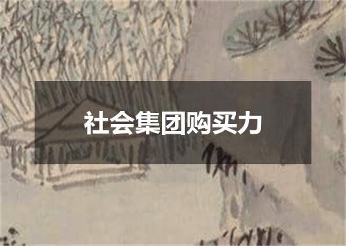社会集团购买力