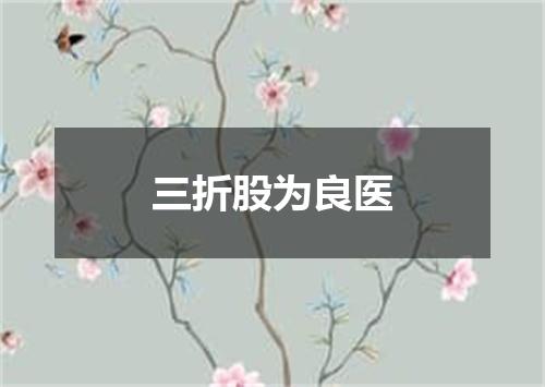 三折股为良医