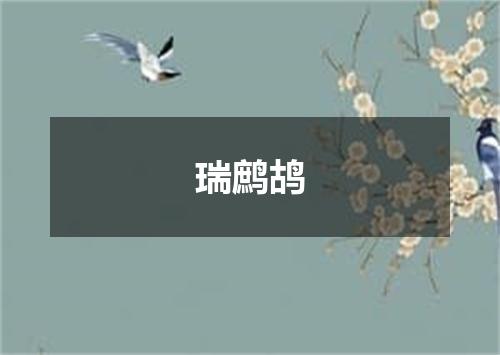 瑞鹧鸪