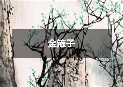 金箍子