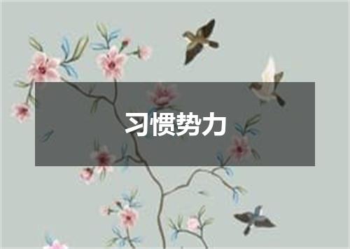 习惯势力