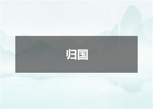 归国