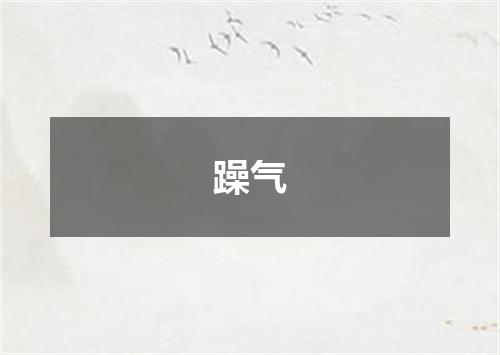 躁气