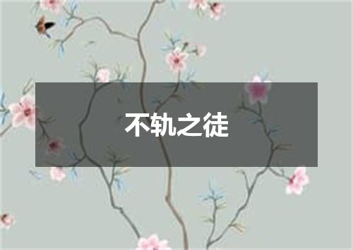不轨之徒