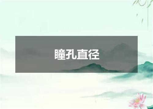 瞳孔直径