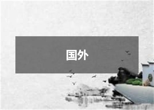 国外