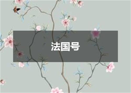 法国号