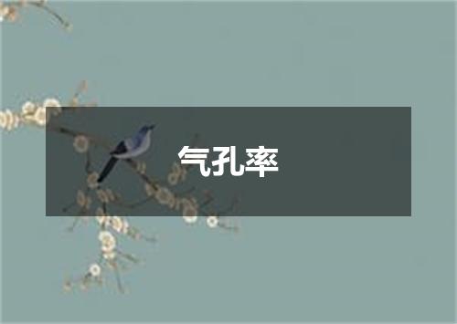 气孔率
