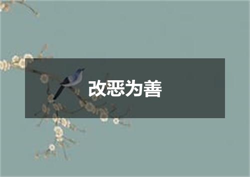 改恶为善