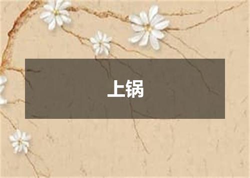 上锅