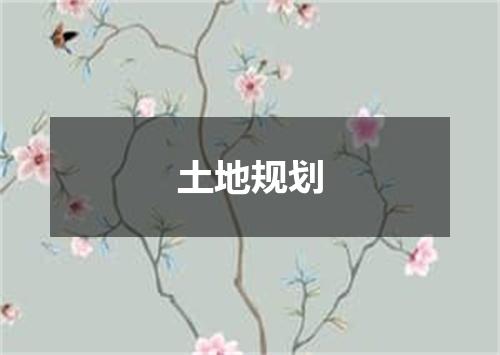 土地规划
