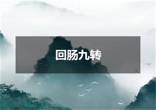 回肠九转