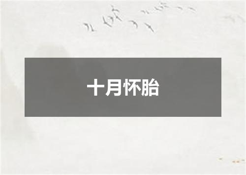 十月怀胎