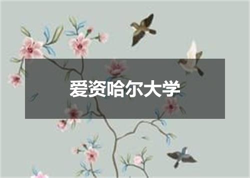 爱资哈尔大学