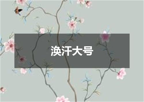 涣汗大号
