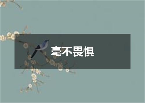 毫不畏惧