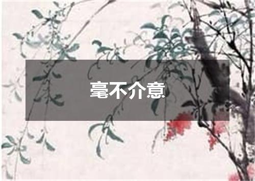 毫不介意