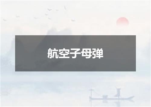 航空子母弹