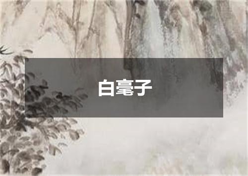 白毫子