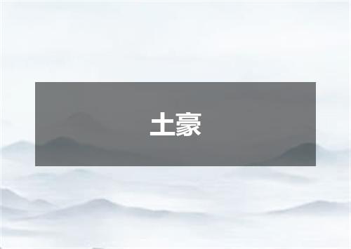 土豪