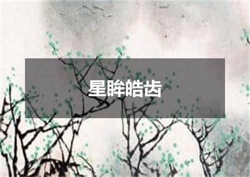 星眸皓齿