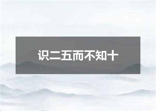 识二五而不知十