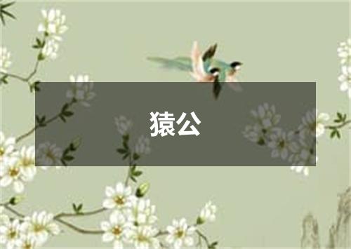 猿公