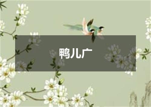 鸭儿广