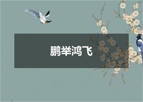 鹏举鸿飞