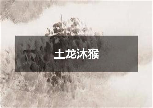 土龙沐猴