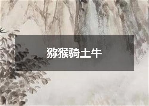 猕猴骑土牛