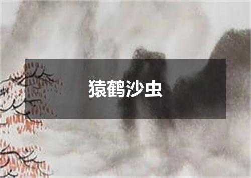 猿鹤沙虫