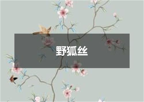 野狐丝