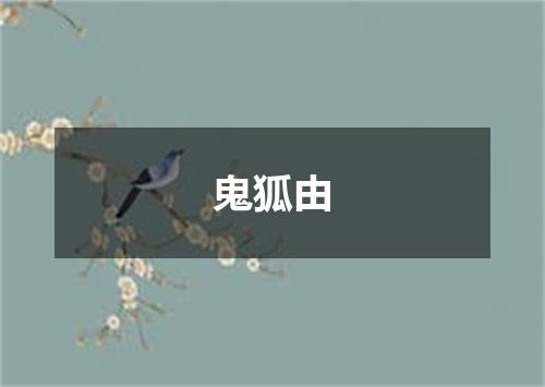 鬼狐由