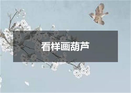 看样画葫芦
