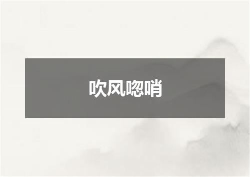 吹风唿哨