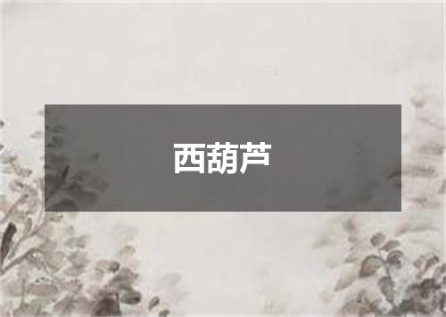 西葫芦