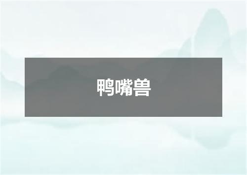 鸭嘴兽