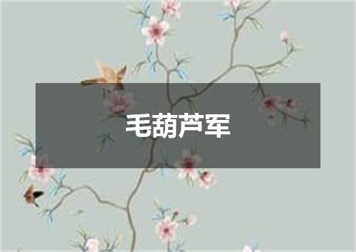 毛葫芦军