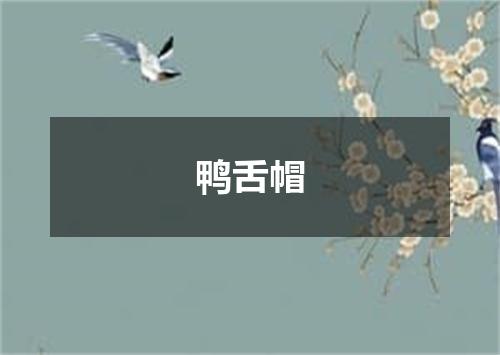 鸭舌帽