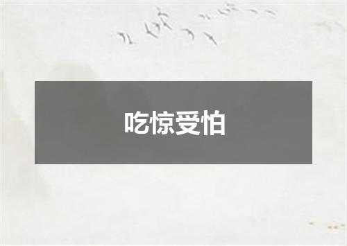 吃惊受怕