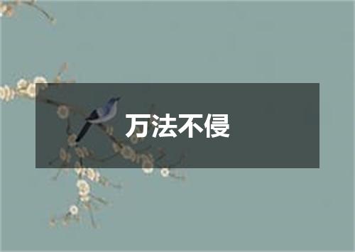 万法不侵