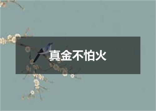 真金不怕火