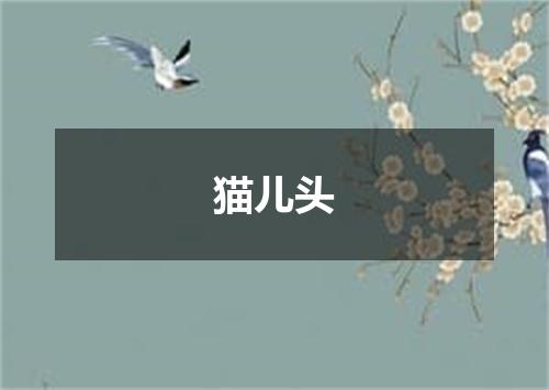 猫儿头