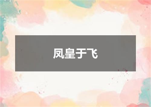 凤皇于飞