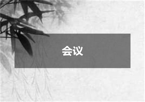 会议